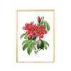 曾孝濂《花叶》植物艺术画 已装画框 可直接上墙 办公居家装饰 商品缩略图0