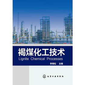 褐煤化工技术
