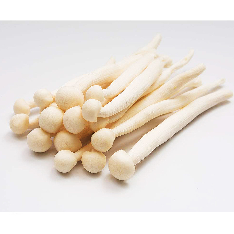 白玉菇 约300g/份