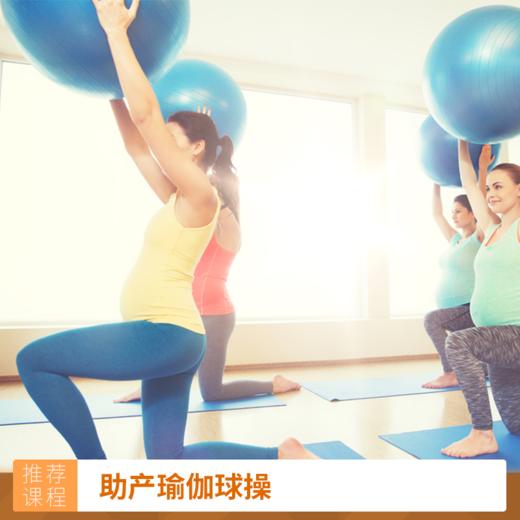 助产瑜伽球操 商品图0