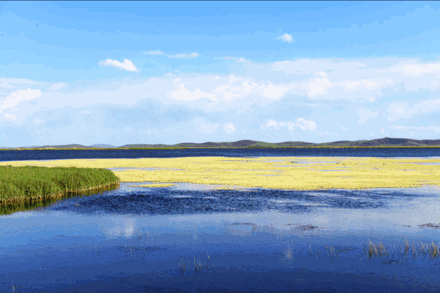 壁纸 草原 风景 摄影 桌面 640_426 gif 动态图 动图