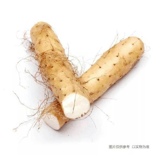 【新鲜】山药500g/份称重多退少补 商品图0