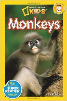 【中商原版】英文原版 National Geographic Readers:Monkeys 国家地理:猴子 商品图0