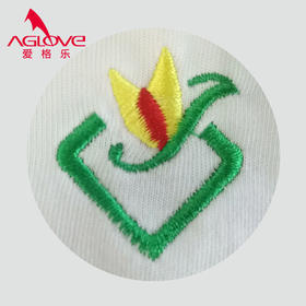 泉州晋光小学（夏）