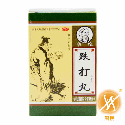 跌打丸 商品图0