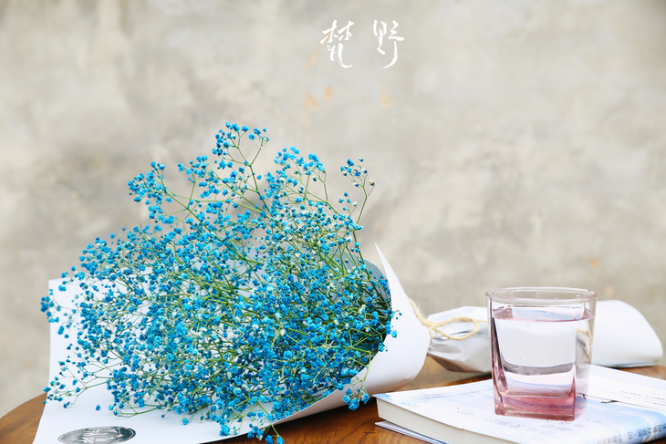 满天都是你,满眼都是你 看了致青春 才知道满天星的花语 "甘愿做配角