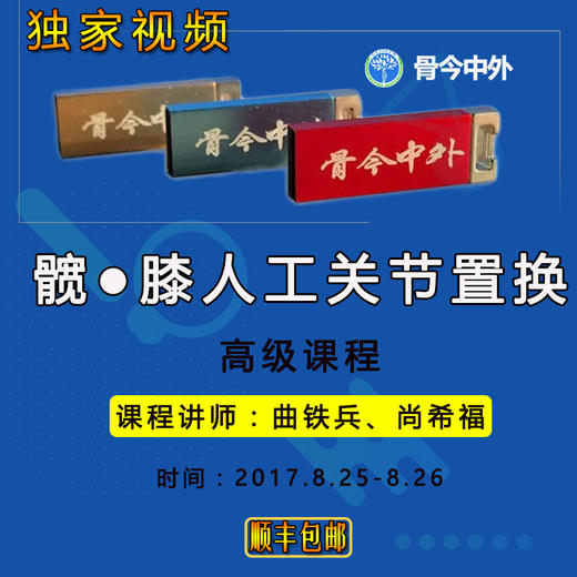【视频U盘】16 第一届黄山关节讲坛『暨髋、膝人工关节置换 』22节精品讲课 商品图0