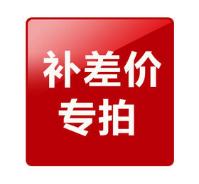 朱炳仁铜  产品差价链接