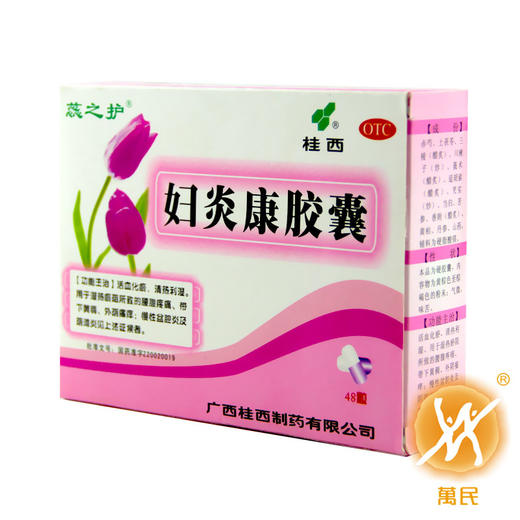 妇炎康胶囊 商品图1