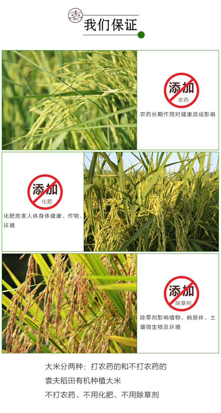 袁夫稻田 新米特级礼盒装2.5kg 大米 非转基因 香米玉