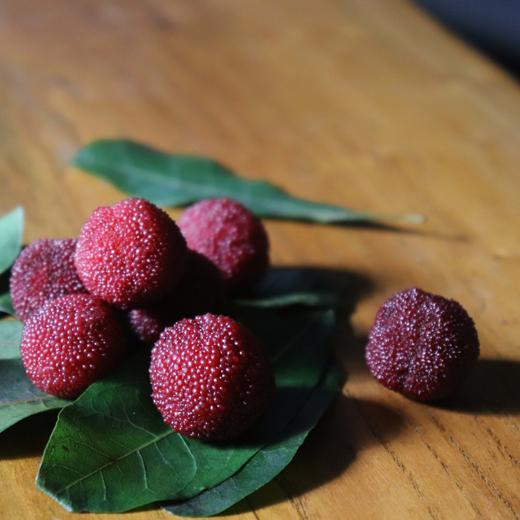 合作生产 | 生态杨梅 商品图1