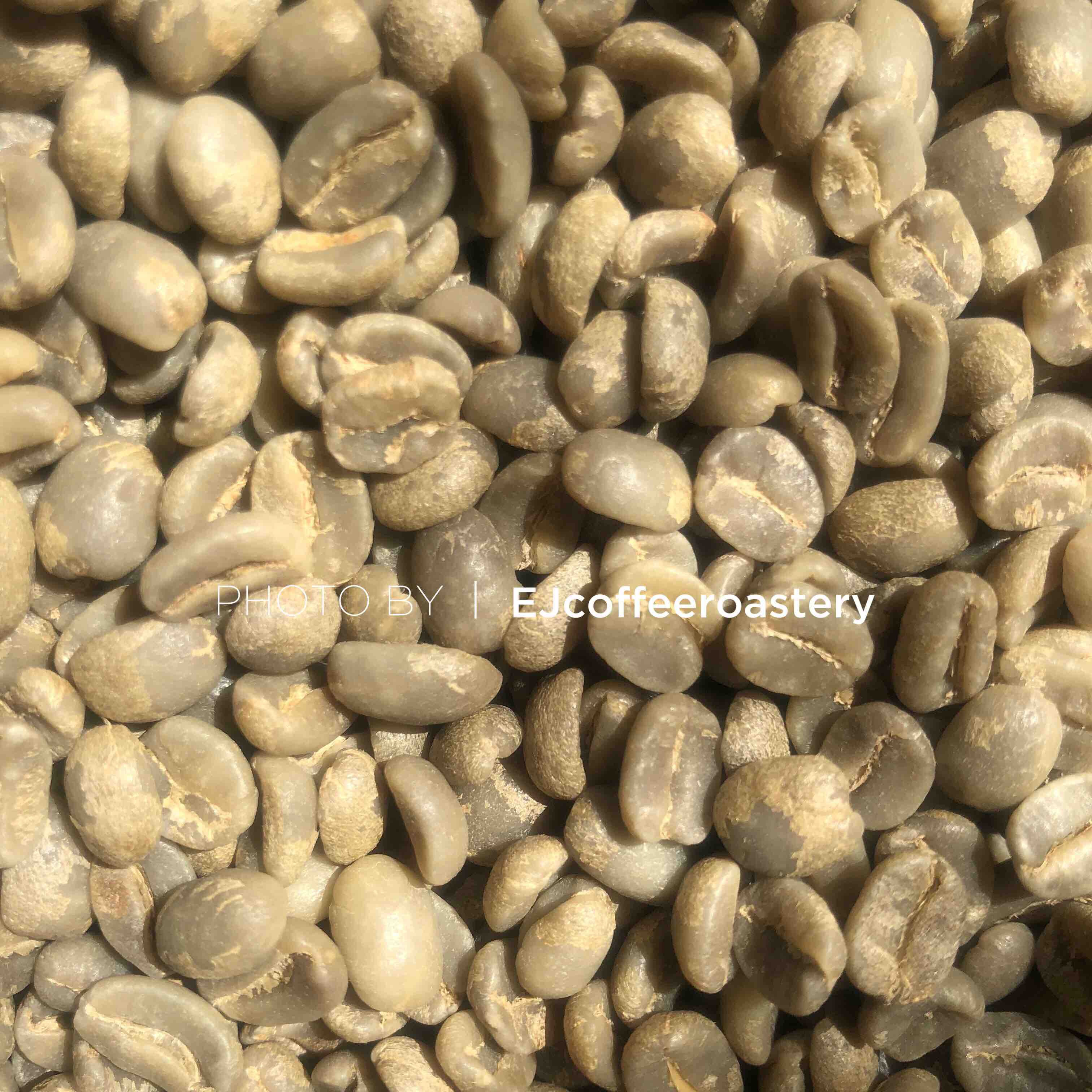 cata 玛玛卡特 批次:lot 8 海拔:1500~1750m 豆种:green tip typica