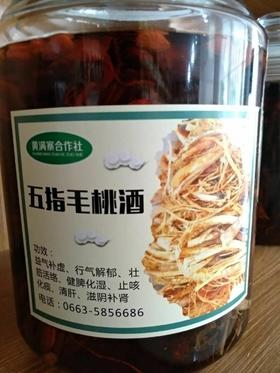 五指毛桃酒