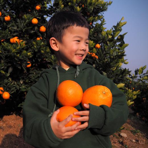 优格匠法式低糖臍橙鲜果酱 Orange Jam 商品图10