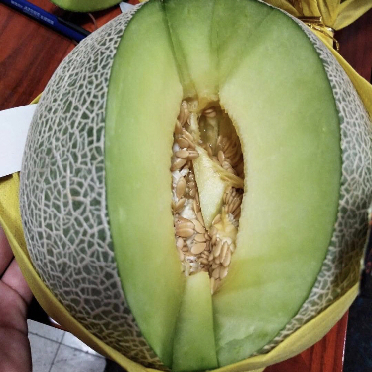 海南玲珑蜜瓜单个3斤装(与之前热推玫珑瓜同品)