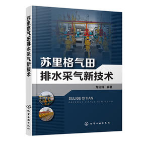 苏里格气田排水采气新技术