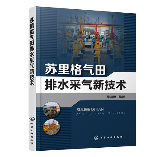 苏里格气田排水采气新技术 商品图0