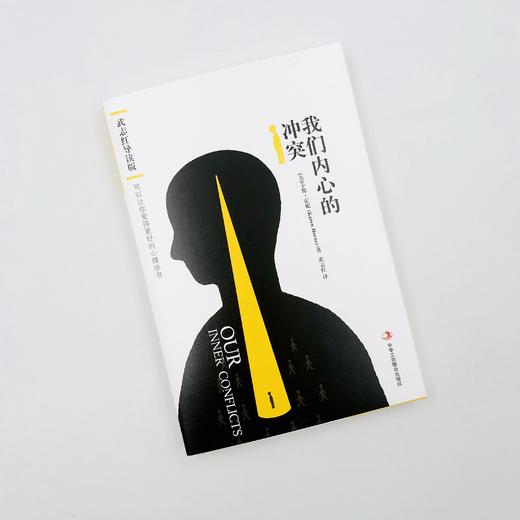 《我们内心的冲突：武志红导读版》 商品图6