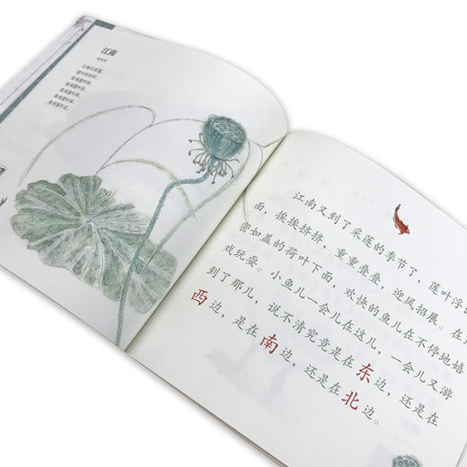 我们的诗词 商品图1