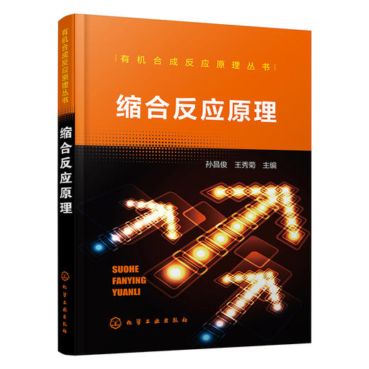 有机合成反应原理丛书--缩合反应原理 商品图0