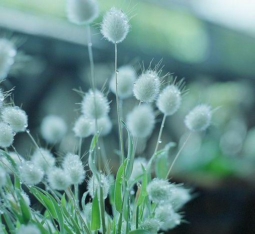 你掉进“立意偏激”的陷阱了吗 商品图0