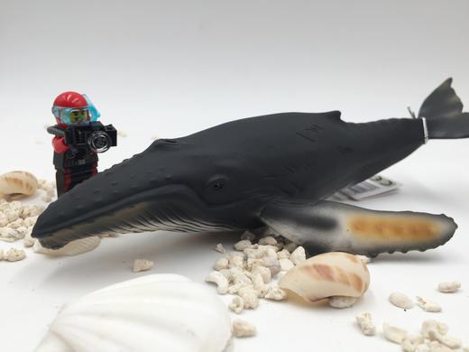 【周边模型】海洋生物模型摆件  潜水员的后儿童时代--把海洋萌物带回家 商品图8