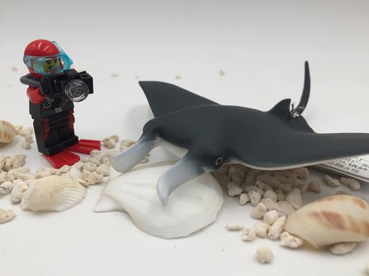 【周边模型】海洋生物模型摆件  潜水员的后儿童时代--把海洋萌物带回家 商品图5