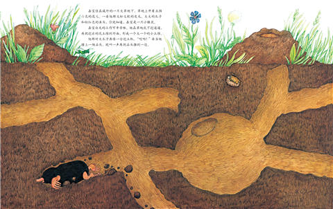 启发 小鼹鼠嘉宝  路易斯•穆尔舍茨 3-4-5-6岁儿童绘本 正版 商品图1