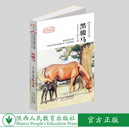 黑骏马 商品图0