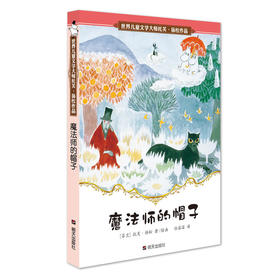 魔法师的帽子