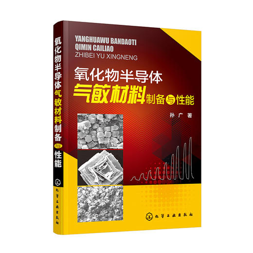 氧化物半导体气敏材料制备与性能 商品图0