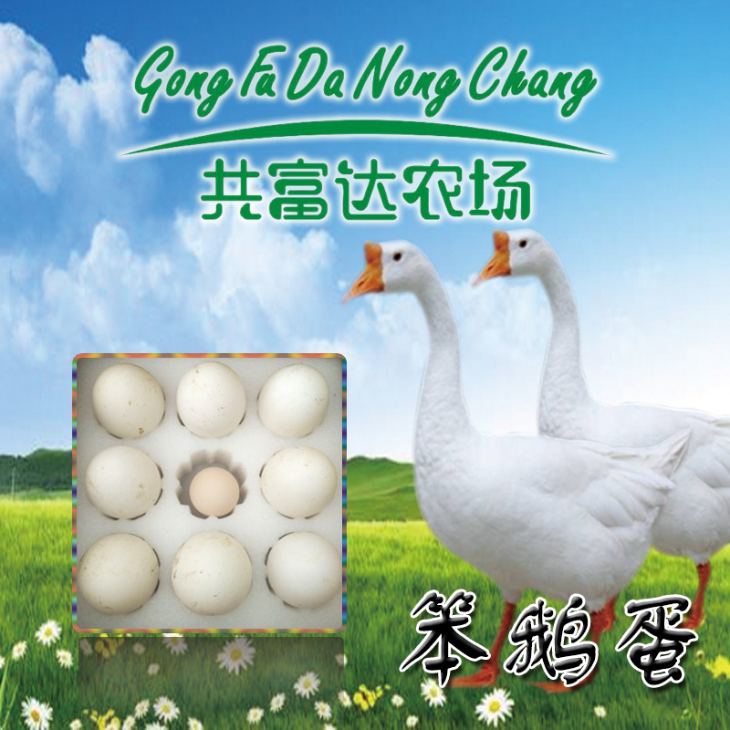 天然散养 | 笨鹅蛋(8枚/盒)