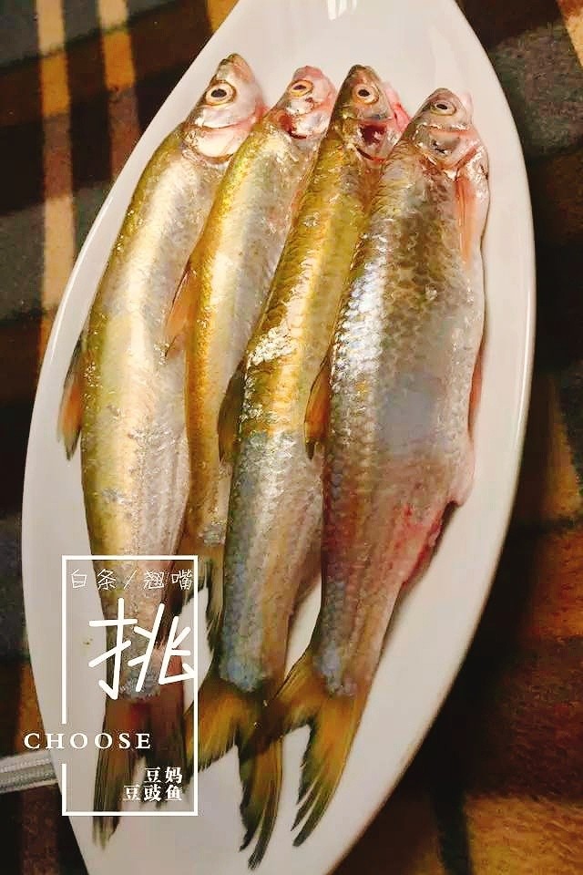 【牂牁江】豆妈家豆豉鱼