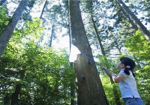 【自然探索5日营】2018莫干山自然探索独立成长夏令营5日4晚自由行（含大巴往返接送 提前20天报名立减100元/人） 商品图4