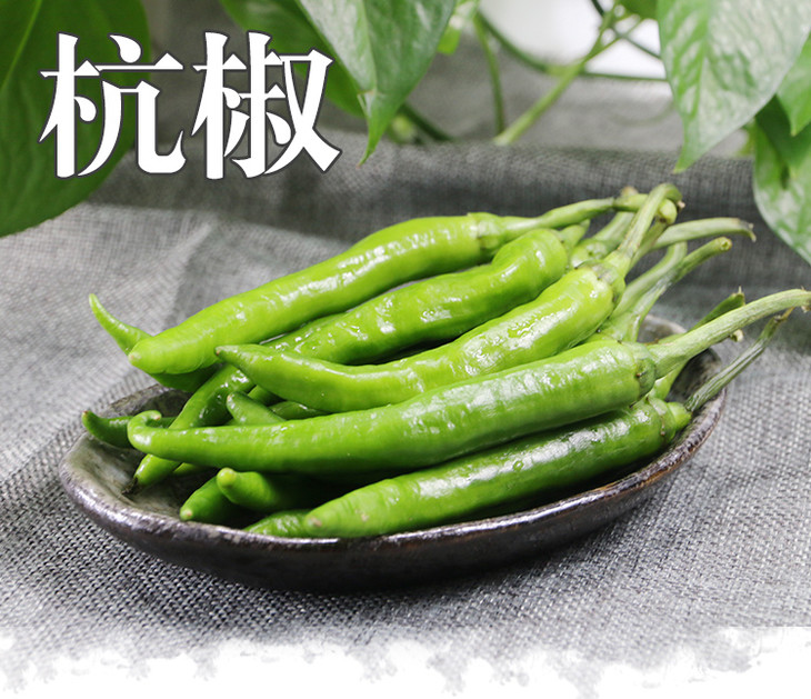 辣度适中!新鲜杭椒 脆嫩300g