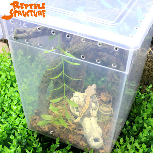 Reptile Structure-爬结构 树栖型饲养盒蜥蜴火玫瑰睫角守宫活体爬虫饲养箱树蛙两栖高箱包邮-分销 商品图3