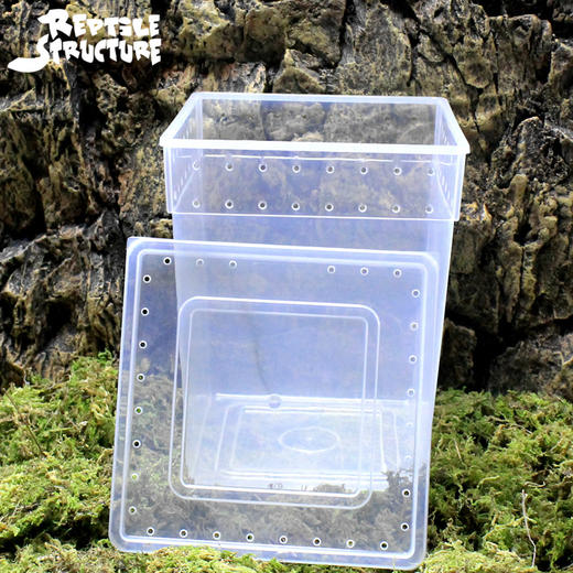 Reptile Structure-爬结构 树栖型饲养盒蜥蜴火玫瑰睫角守宫活体爬虫饲养箱树蛙两栖高箱包邮-分销 商品图4