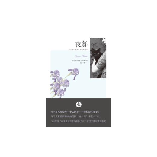 夜舞——西尔维娅·普拉斯诗选 商品图0