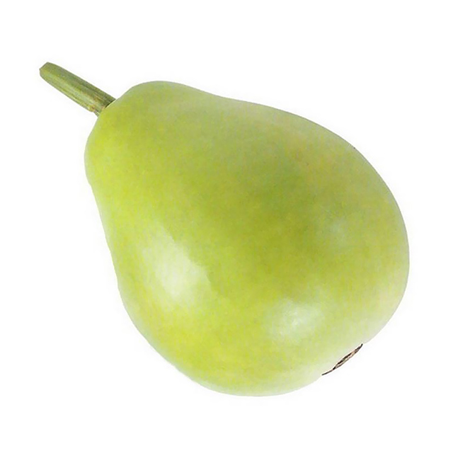 蒲瓜(圆)