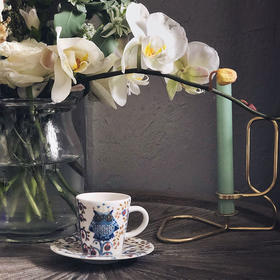 Iittala 意式浓缩小咖啡杯碟 魔幻森林系列