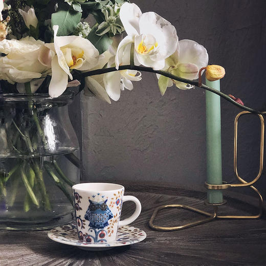 Iittala 意式浓缩小咖啡杯碟 魔幻森林系列 商品图0