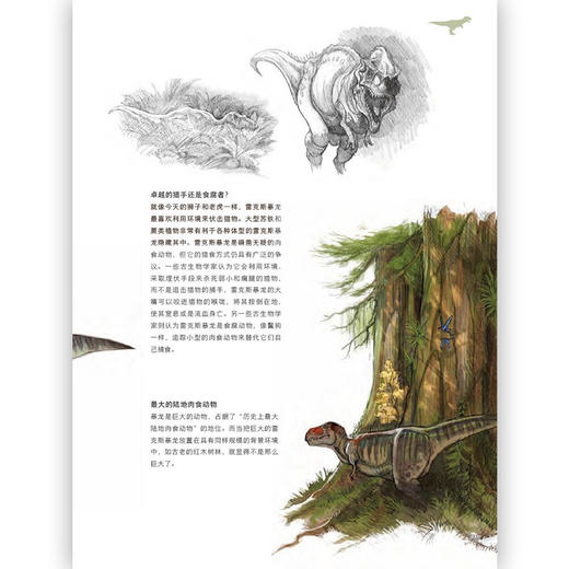 恐龙大殿堂（ 描绘侏罗纪世界 恐龙科普百科读物书籍6-7-12岁儿童小学生 恐龙知识动物绘画技法画画教程） 商品图2