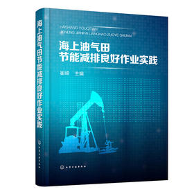海上油气田节能减排良好作业实践