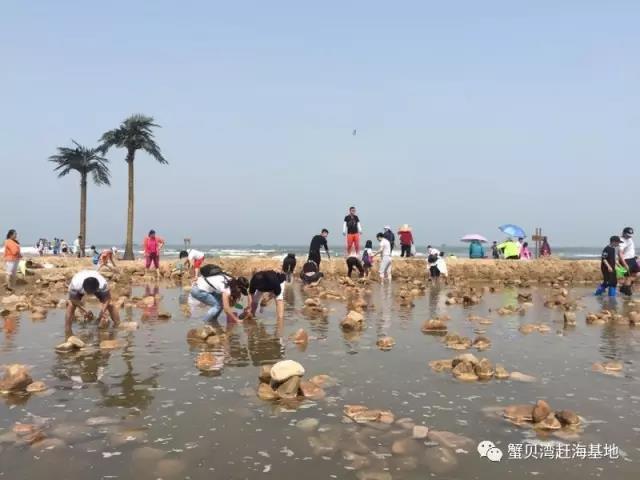 蟹贝湾-赶海基地(门票99元含),蟹贝湾位于北戴河新区昌黎新开口码头