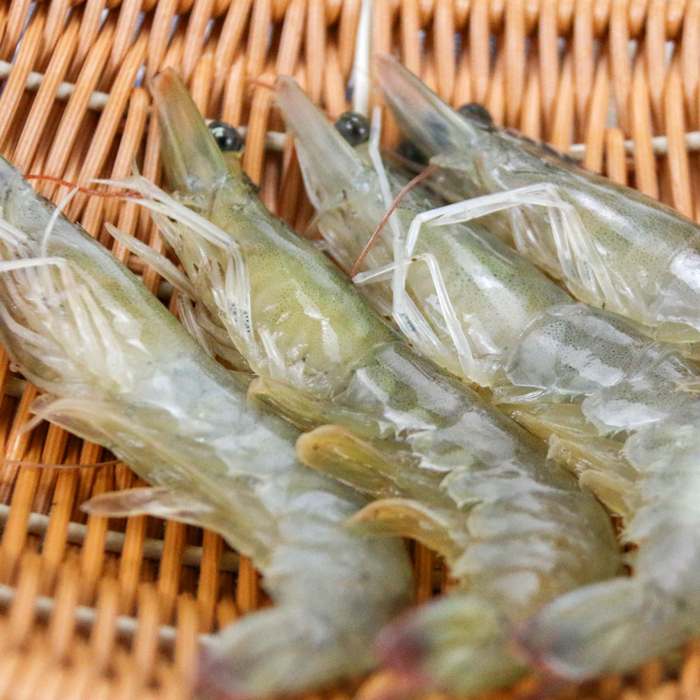 230g*2盒 脊岭岛生态盐田生虾(26-30只/500g)