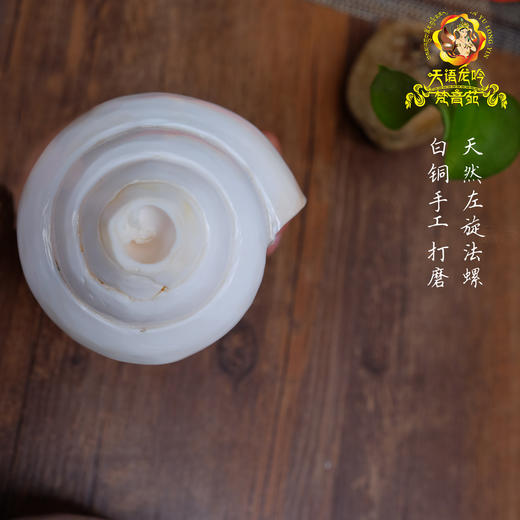 天然印度白海螺尼泊尔八吉祥八供法螺可吹奏左旋密宗法器16-18cm 商品图3