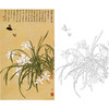 俞致贞竖幅工笔花鸟白描底稿《象牙白兰花》-多种白描尺寸可选-JV39 商品缩略图0