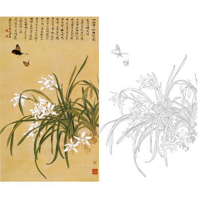 俞致贞竖幅工笔花鸟白描底稿《象牙白兰花》-多种白描尺寸可选-JV39