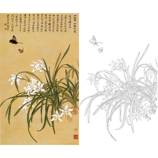 俞致贞竖幅工笔花鸟白描底稿《象牙白兰花》-多种白描尺寸可选-JV39 商品图0