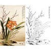 俞致贞竖幅工笔花鸟白描底稿-兰花《君子兰》-多种白描尺寸可选-JV36 商品缩略图0